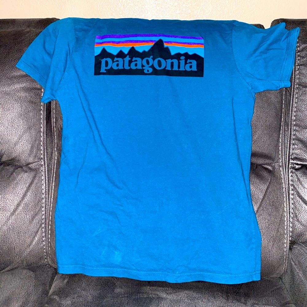Patagonia Tshirt